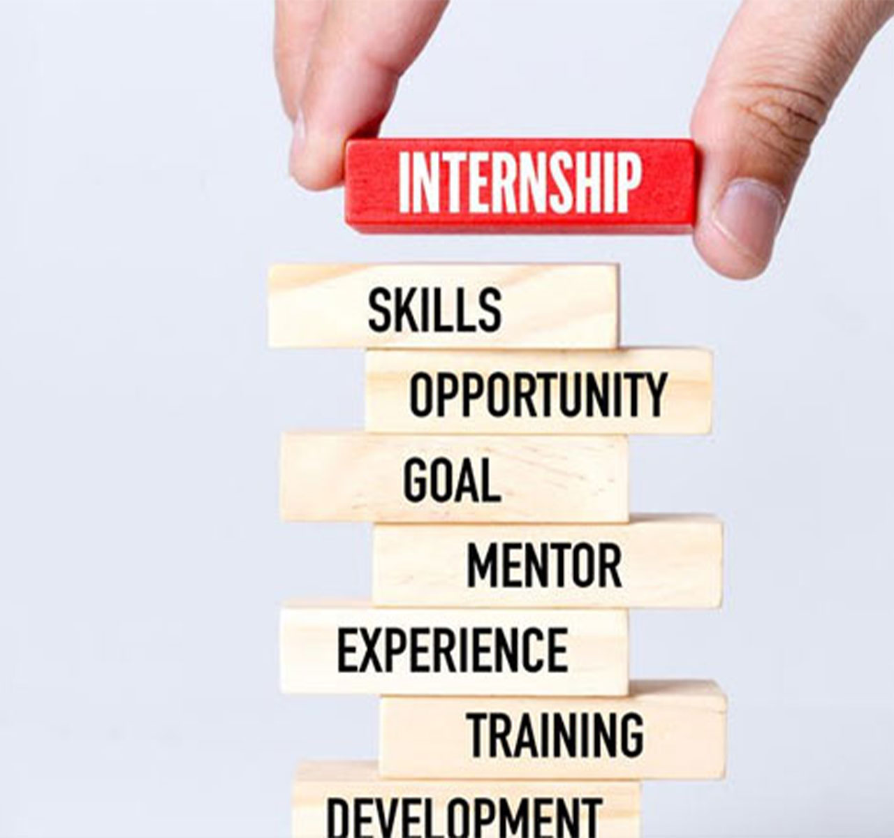 Internship program